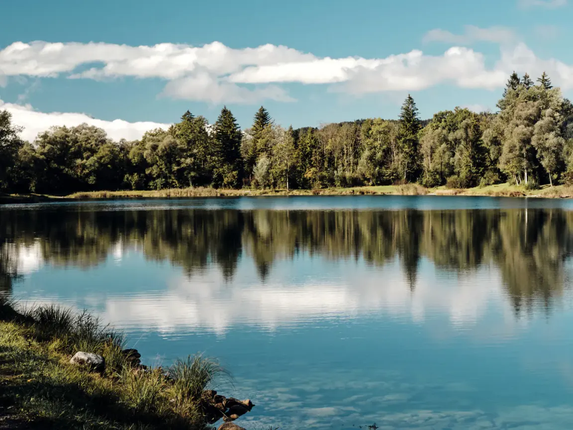 Lac și împrejurimi
